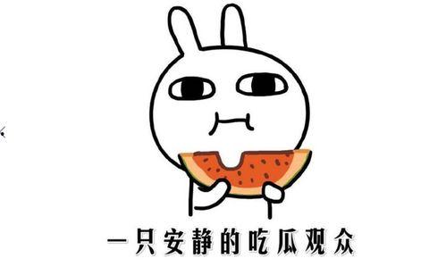 网络上吃瓜是什么意思,吃瓜群众的趣味解读